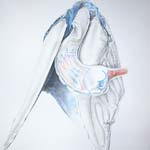 Etude documentaire de bouée