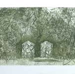 La manufacture forestière