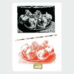 Etudes 1 - ( série )