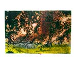 Le chant des branchages