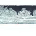 Lucioles et étoiles rares