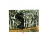 Symphonie graphique – les bouleaux